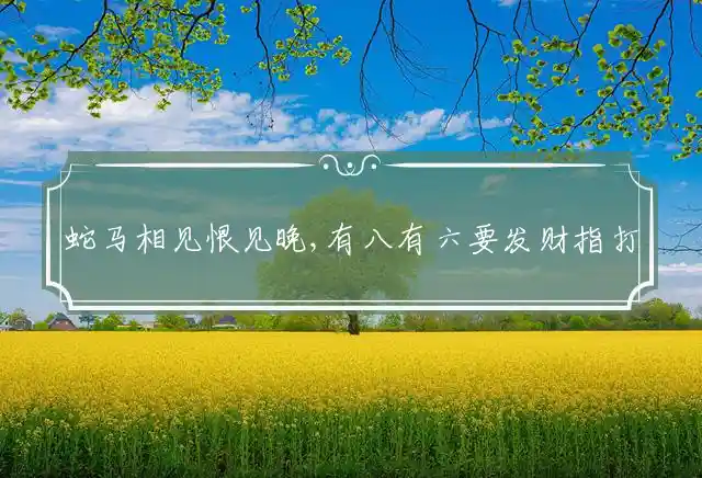 蛇马相见恨见晚,有八有六要发财指打代表最佳什么生肖,释义成语精选解释