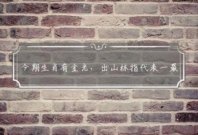 今期生肖有金光,出山林是什么生肖