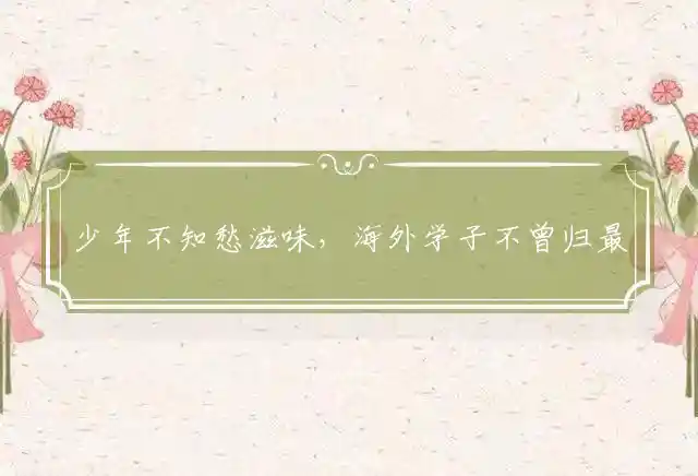 少年不知愁滋味,海外学子不曾归是什么生肖
