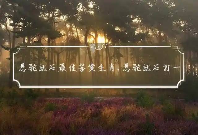 悬驼就石是什么生肖