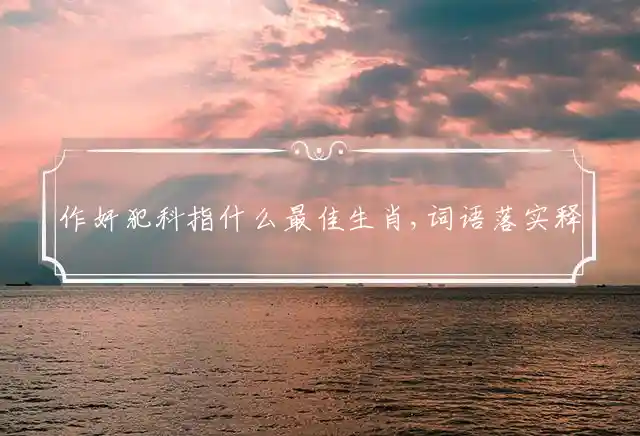 作奸犯科是什么生肖