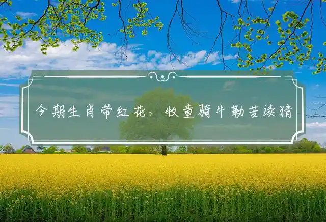 今期生肖带红花,牧童骑牛勒苦读是什么生肖