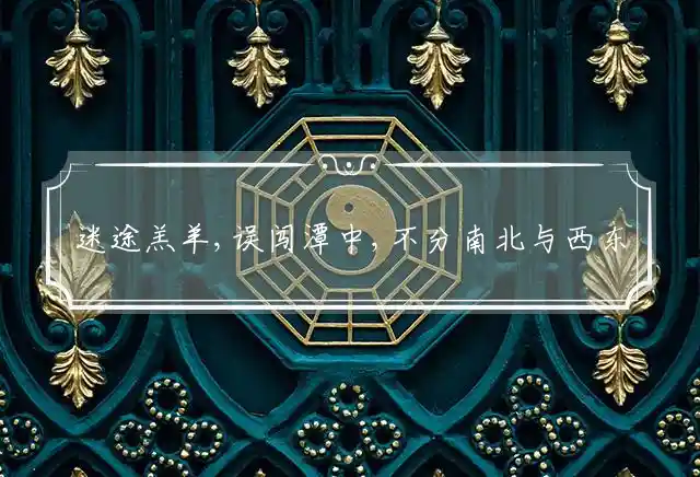 迷途羔羊,误闯潭中,不分南北与西东是什么生肖