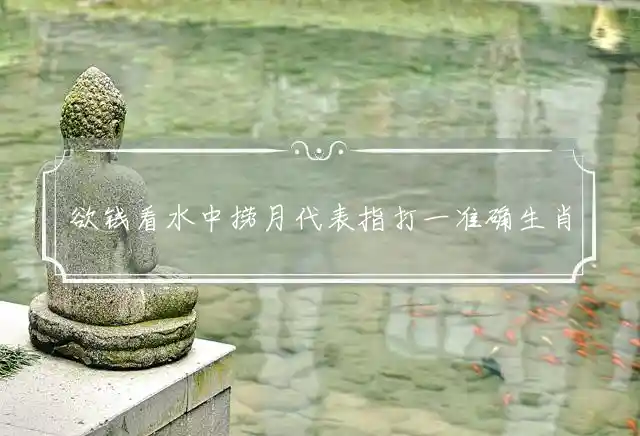 欲钱看水中捞月是什么生肖