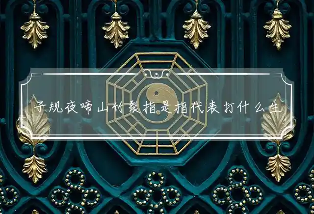 子规夜啼山竹裂是什么生肖