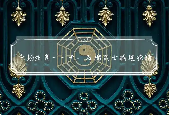 今期生肖一一开,石榴武士找桂花是什么生肖
