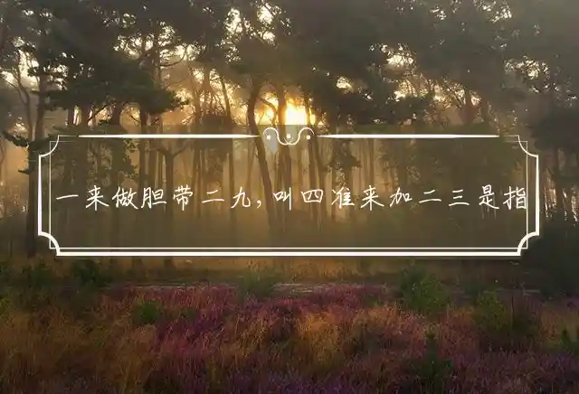 一来做胆带二九,叫四准来加二三是什么生肖