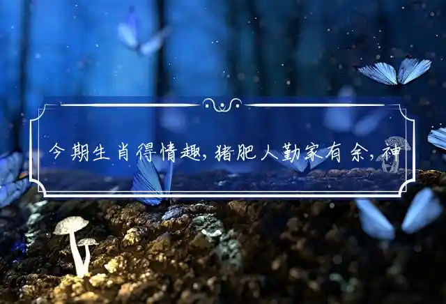 今期生肖得情趣,猪肥人勤家有余,神马行空运难挡,三羊开泰人寿赠是什么生肖