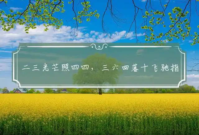 二三光芒照四四,三六回落十飞驰是什么生肖