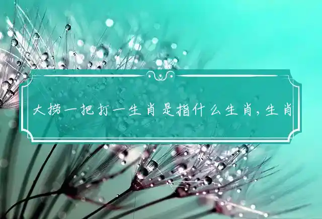 大捞一把是什么生肖