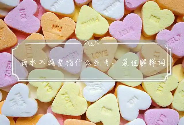 滴水不漏是什么生肖