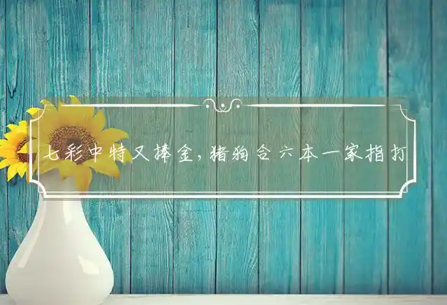 七彩中特又捧金,猪狗合六本一家是什么生肖