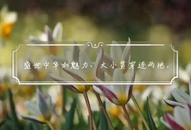 盛世中华加魅力,大小贯穿连两地。五彩缤纷元宵灯,少些传统多新意是什么生肖