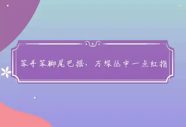 笨手笨脚尾巴摇,万绿丛中一点红是什么生肖