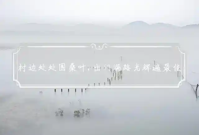 村边处处围桑叶,出门满路光辉遍是什么生肖