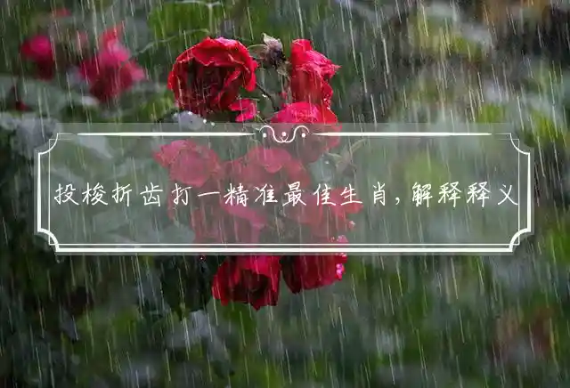 投梭折齿打一精准最佳生肖,解释释义词语解读！