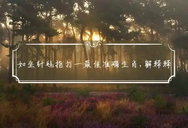 如坐针毡是什么生肖