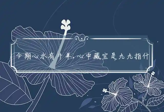今期心水有牛羊,心中藏宝是九九是什么生肖