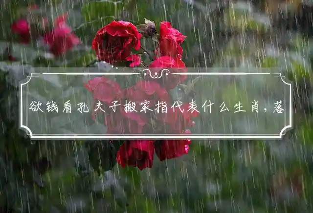 欲钱看孔夫子搬家指代表什么生肖,落实词语含义阐述答解