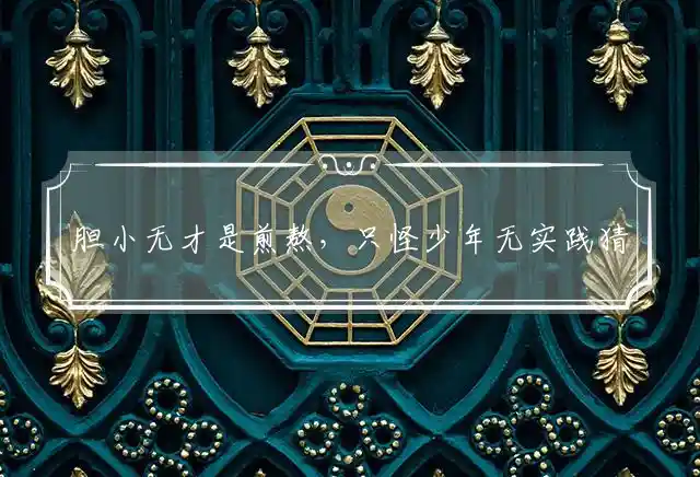 胆小无才是煎熬,只怪少年无实践是什么生肖