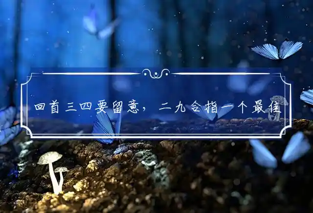 回首三四要留意,二九合是什么生肖