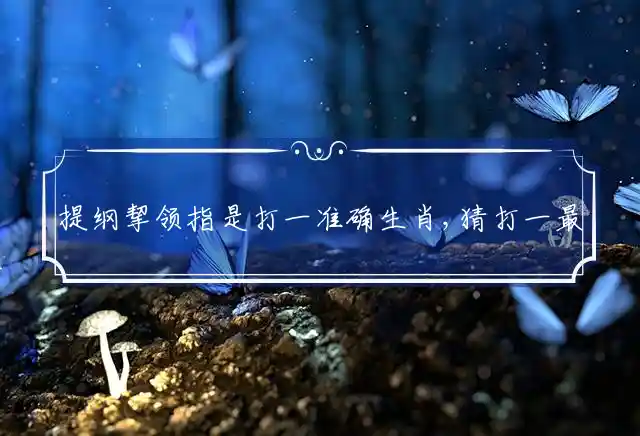 提纲挈领是什么生肖