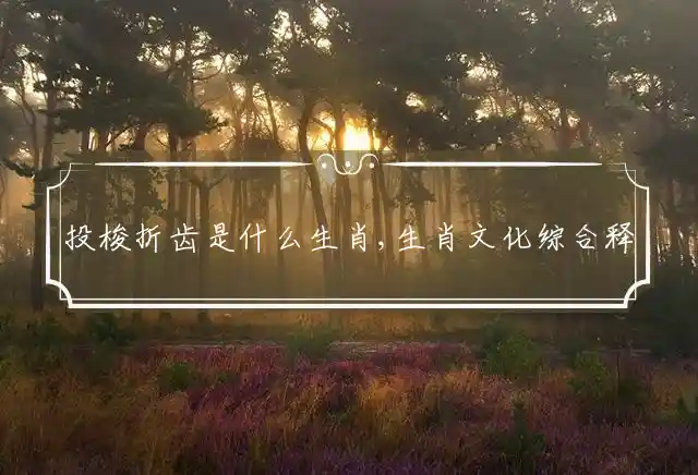 投梭折齿是什么生肖