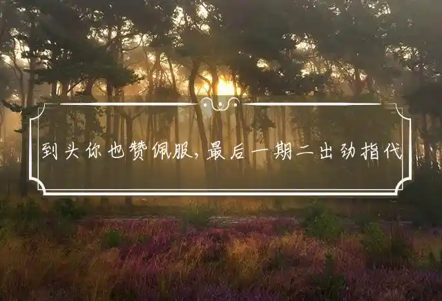 到头你也赞佩服,最后一期二出劲是什么生肖