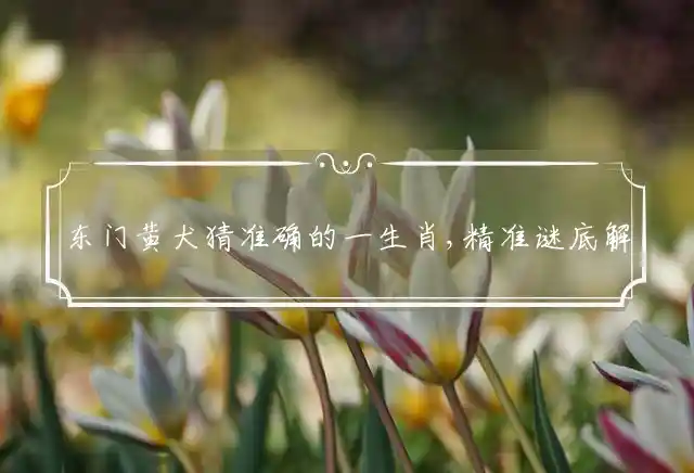 东门黄犬猜准确的一生肖,精准谜底解答解释