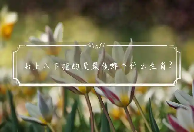 七上八下是什么生肖