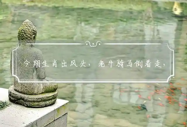 今期生肖出风头,老牛骑马倒着走,勤劳一生为农民,本期蓝红定出特是什么生肖