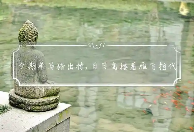 今期羊马猪出特,日日高楼看雁飞是什么生肖