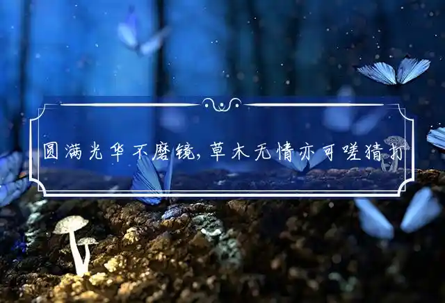 圆满光华不磨镜,草木无情亦可嗟是什么生肖