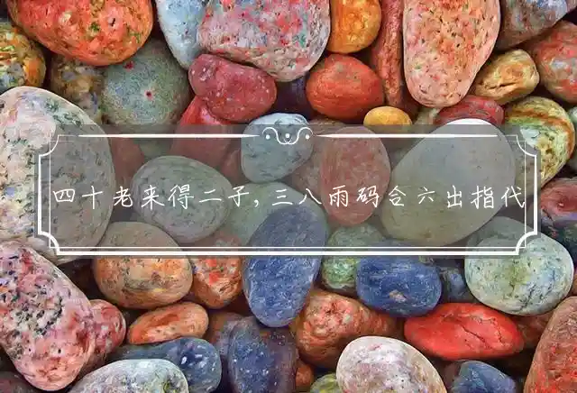 四十老来得二子,三八雨码合六出是什么生肖