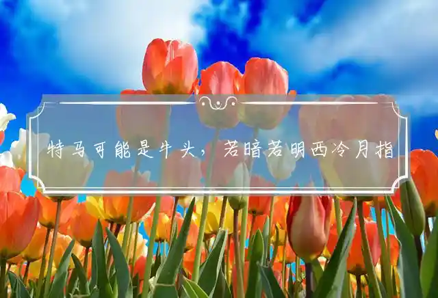 特马可能是牛头,若暗若明西冷月是什么生肖