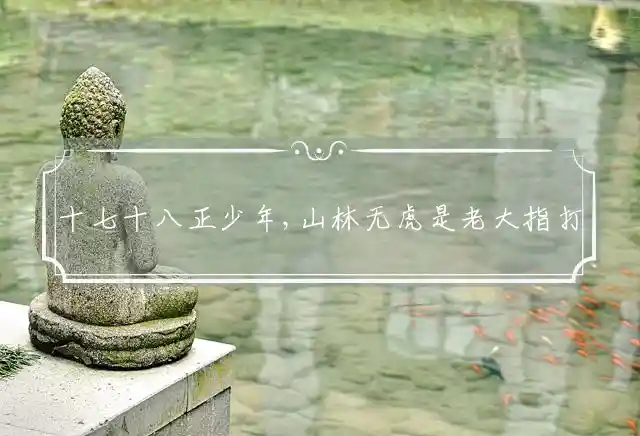 十七十八正少年,山林无虎是老大是什么生肖