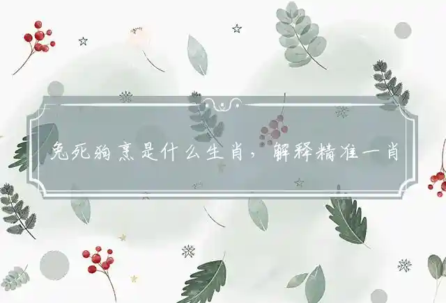 兔死狗烹是什么生肖