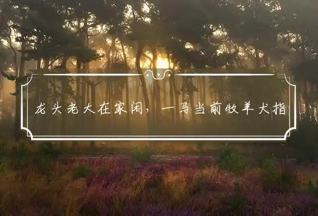龙头老大在家闲,一马当前牧羊犬是什么生肖