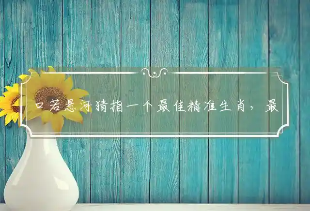 口若悬河是什么生肖