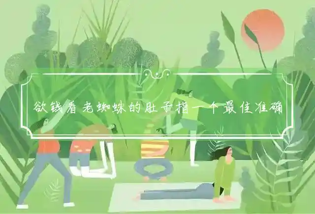 欲钱看老蜘蛛的肚子是什么生肖