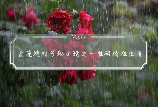 金莲稳衬弓靴小猜打一准确精准生肖,核心谜底生肖解析