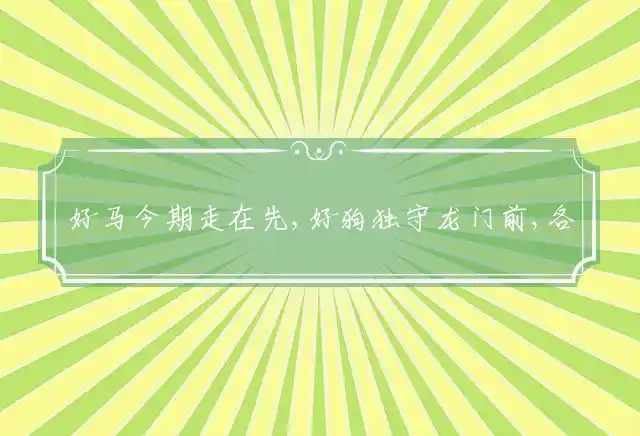 好马今期走在先,好狗独守龙门前,各有特色守本期,各为主子守命来是什么生肖